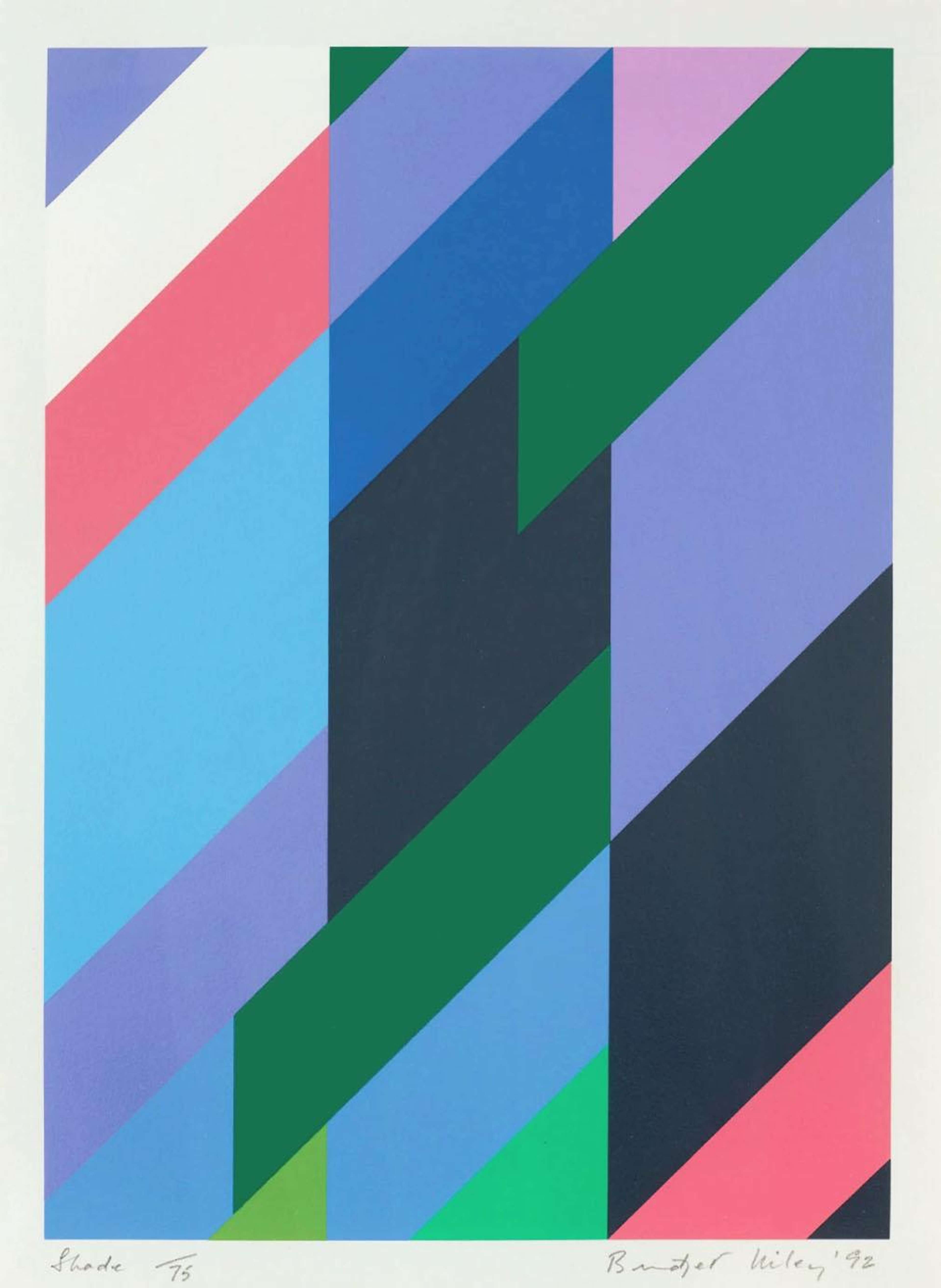 Shade by Bridget Riley