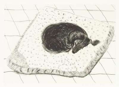 Dog Etching No. 4 - Signed Print by David Hockney 1998 - MyArtBroker