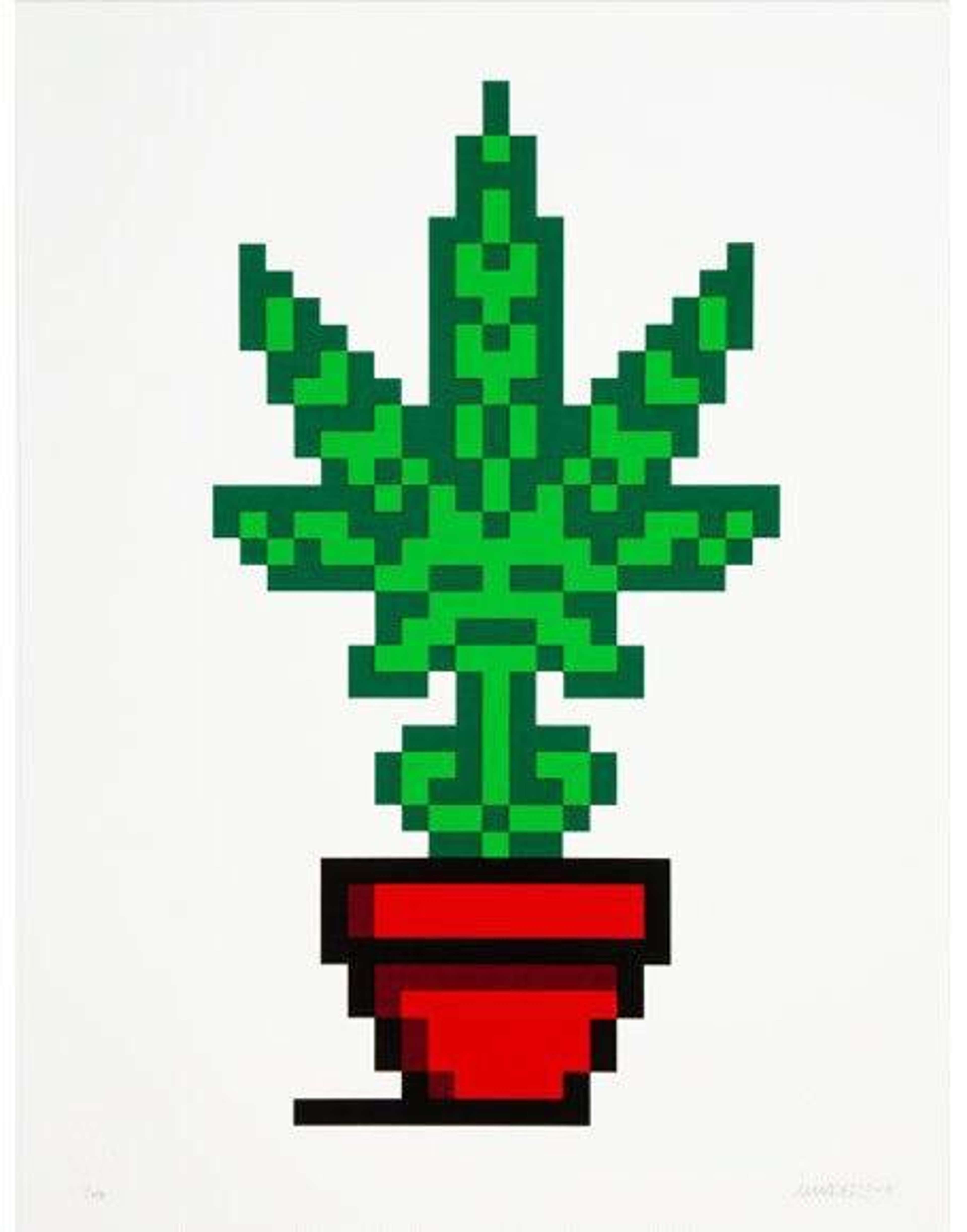 Hollyweed (red) - Signed Print by Invader 2018 - MyArtBroker