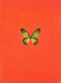 Damien Hirst: New Beginnings 1 - Signed Print