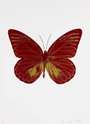 Damien Hirst: The Souls I (chilli red, oriental gold) - Signed Print
