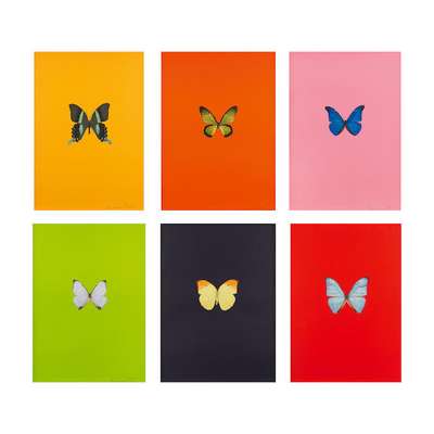 New Beginnings (complete set) - Signed Print by Damien Hirst 2011 - MyArtBroker