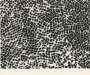 Yayoi Kusama: Infinity Nets - Signed Print