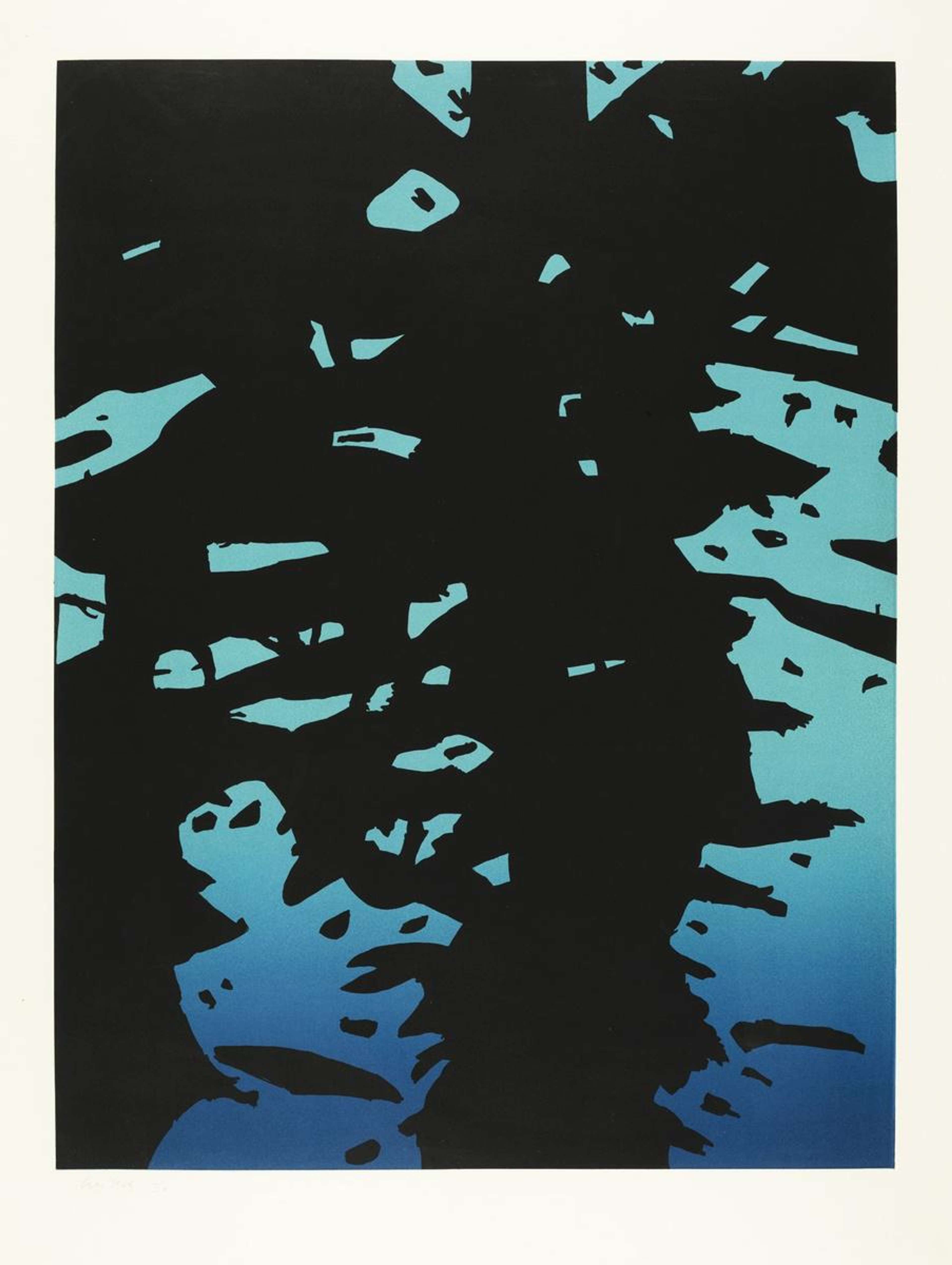 Reflection II - Signed Print by Alex Katz 2011 - MyArtBroker