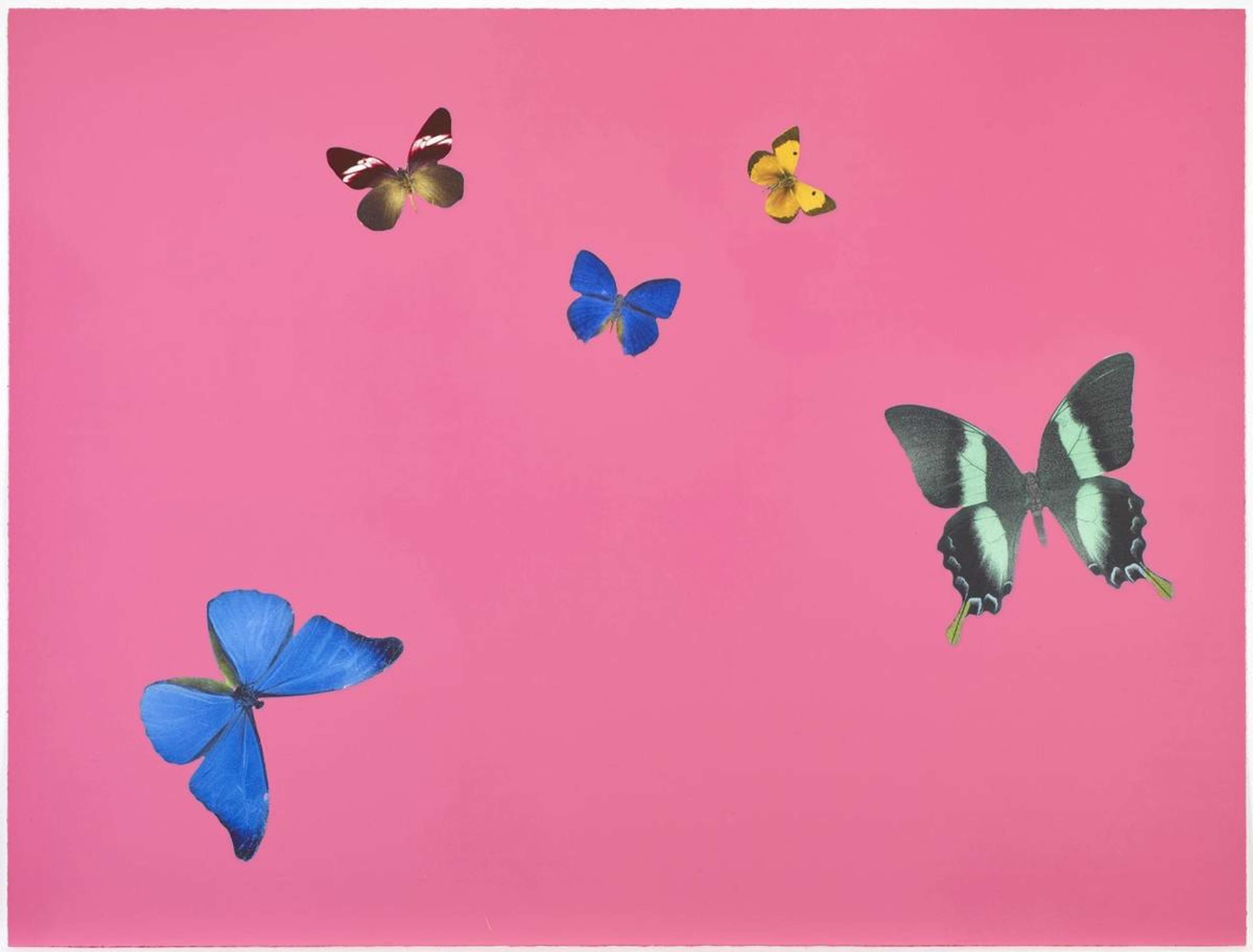 Be Considerate - Signed Print by Damien Hirst 2018 - MyArtBroker