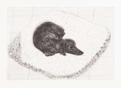 Dog Etching No. 12 - Signed Print by David Hockney 1998 - MyArtBroker