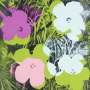 Andy Warhol: Flowers (F. & S. II.64) - Signed Print