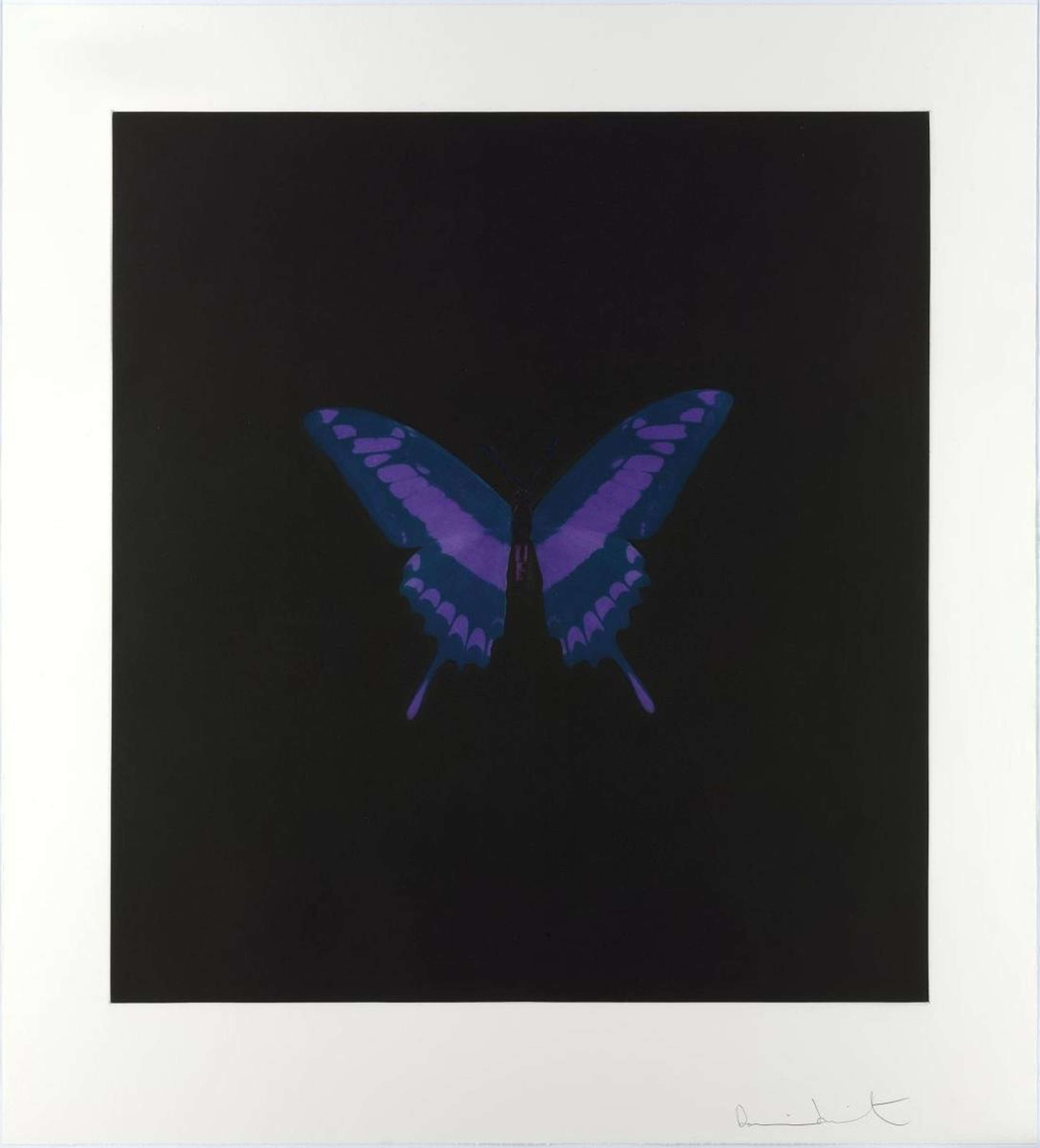 Memento 6 - Signed Print by Damien Hirst 2008 - MyArtBroker