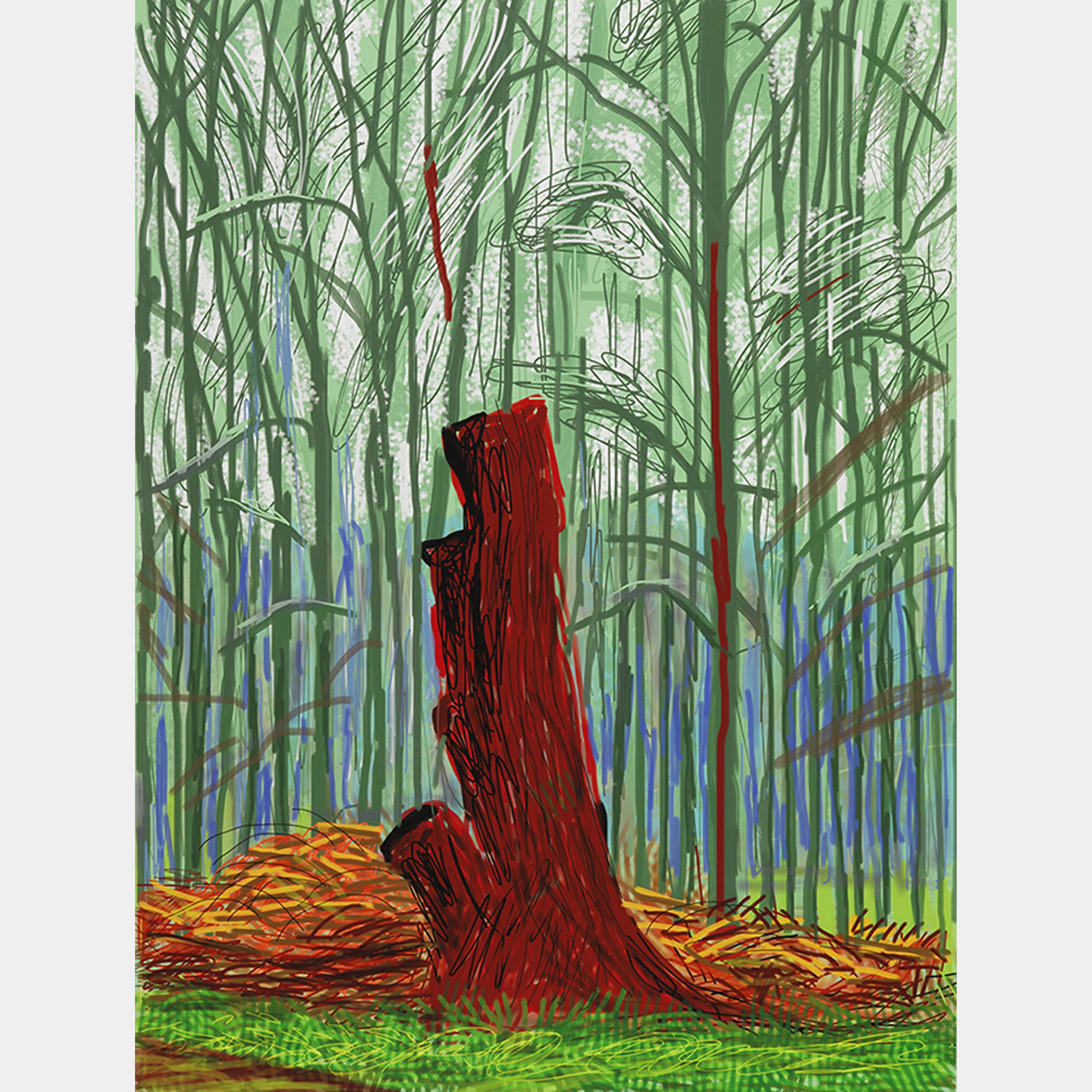 The Arrival Of Spring In Woldgate East Yorkshire 25th February 2011 - Signed Print by David Hockney 2011 - MyArtBroker