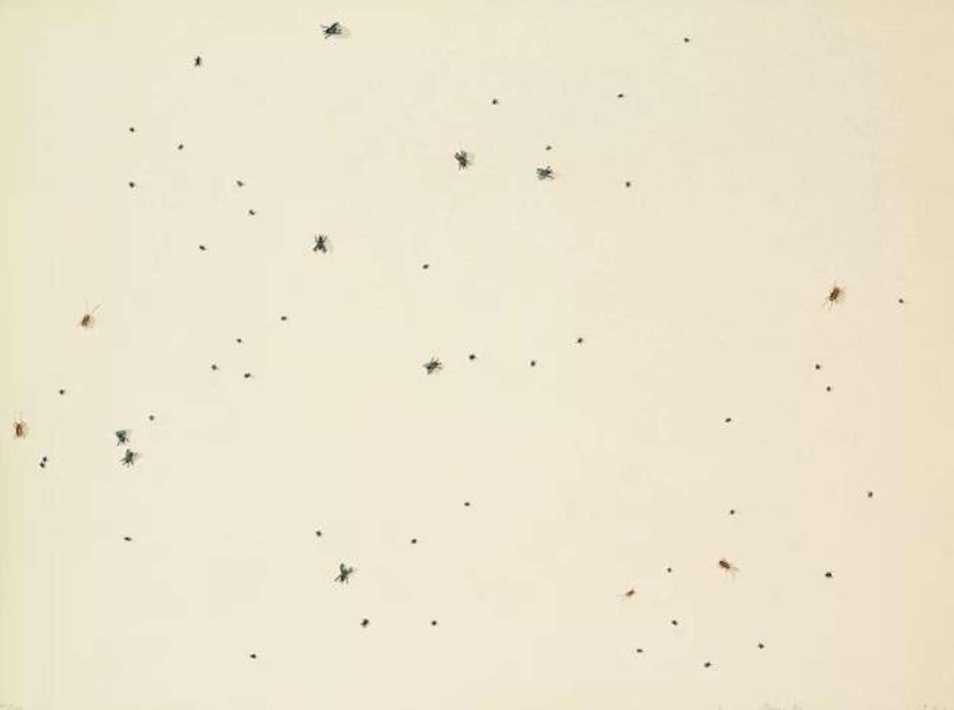 Pearl Dust Combination - Signed Print by Ed Ruscha 1972 - MyArtBroker