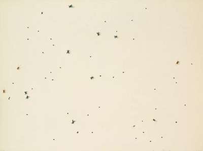 Pearl Dust Combination - Signed Print by Ed Ruscha 1972 - MyArtBroker