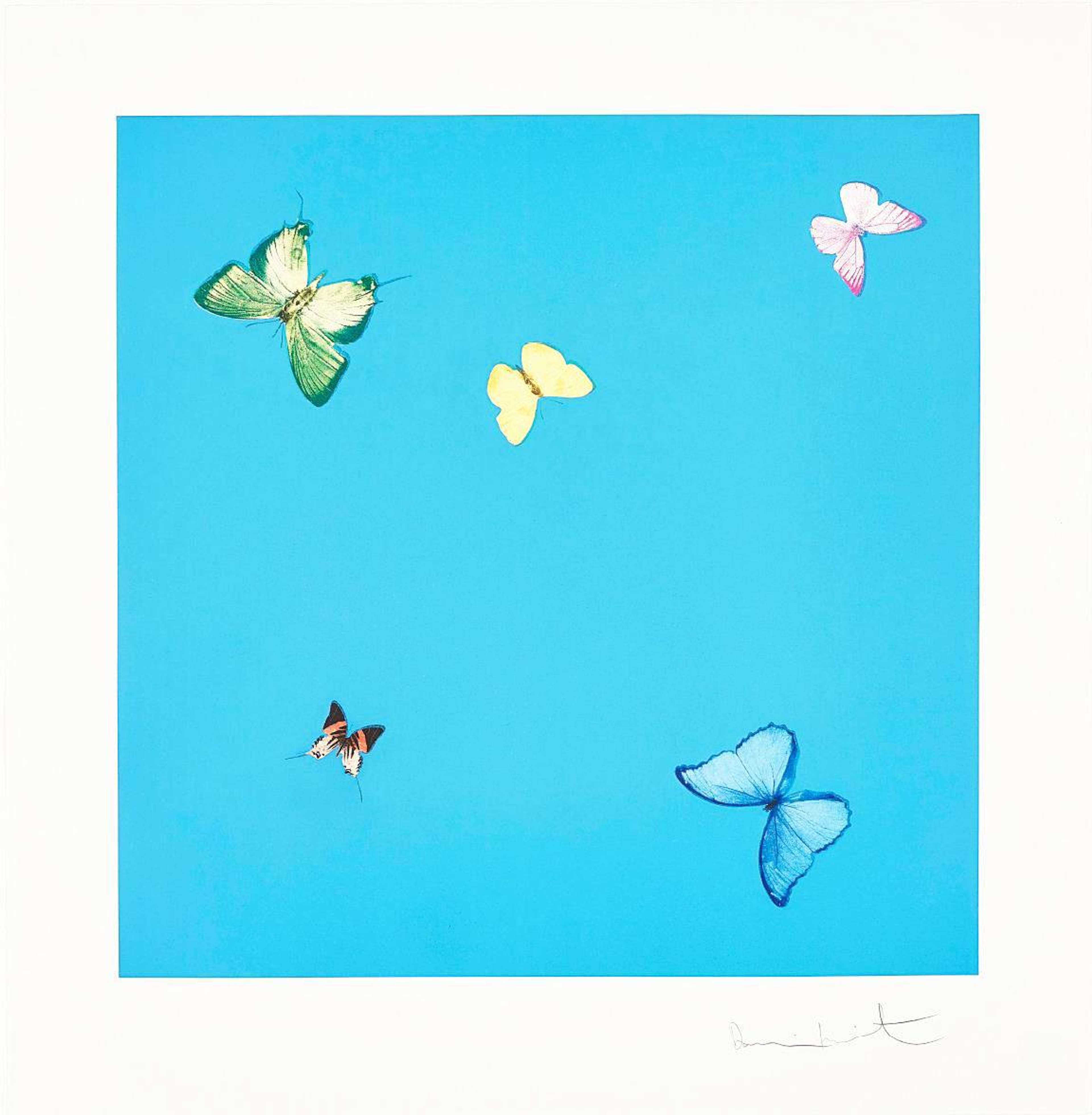 A Dream - Signed Print by Damien Hirst 2014 - MyArtBroker