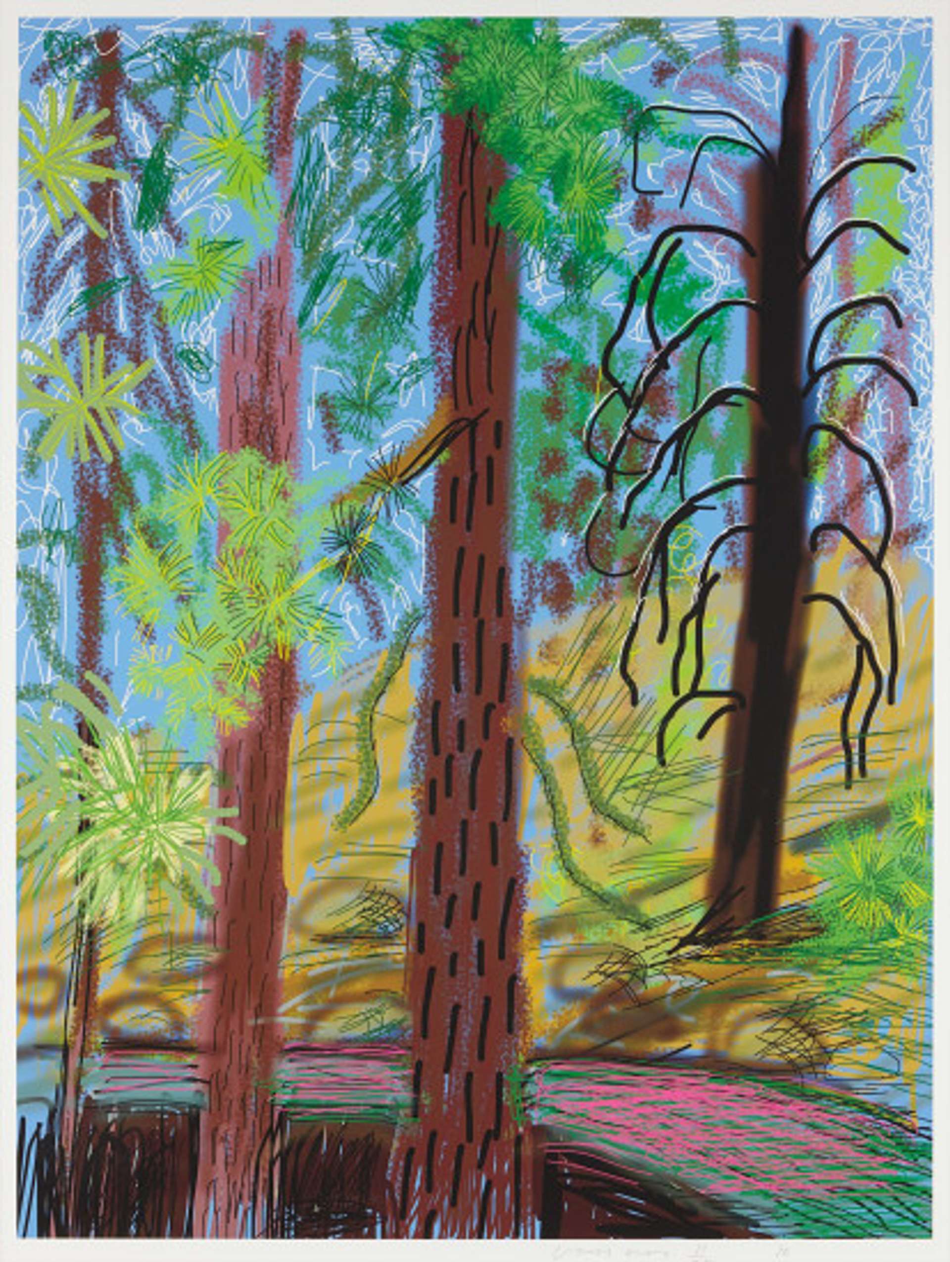 The Yosemite Suite 6 - Signed Print by David Hockney 2010 - MyArtBroker
