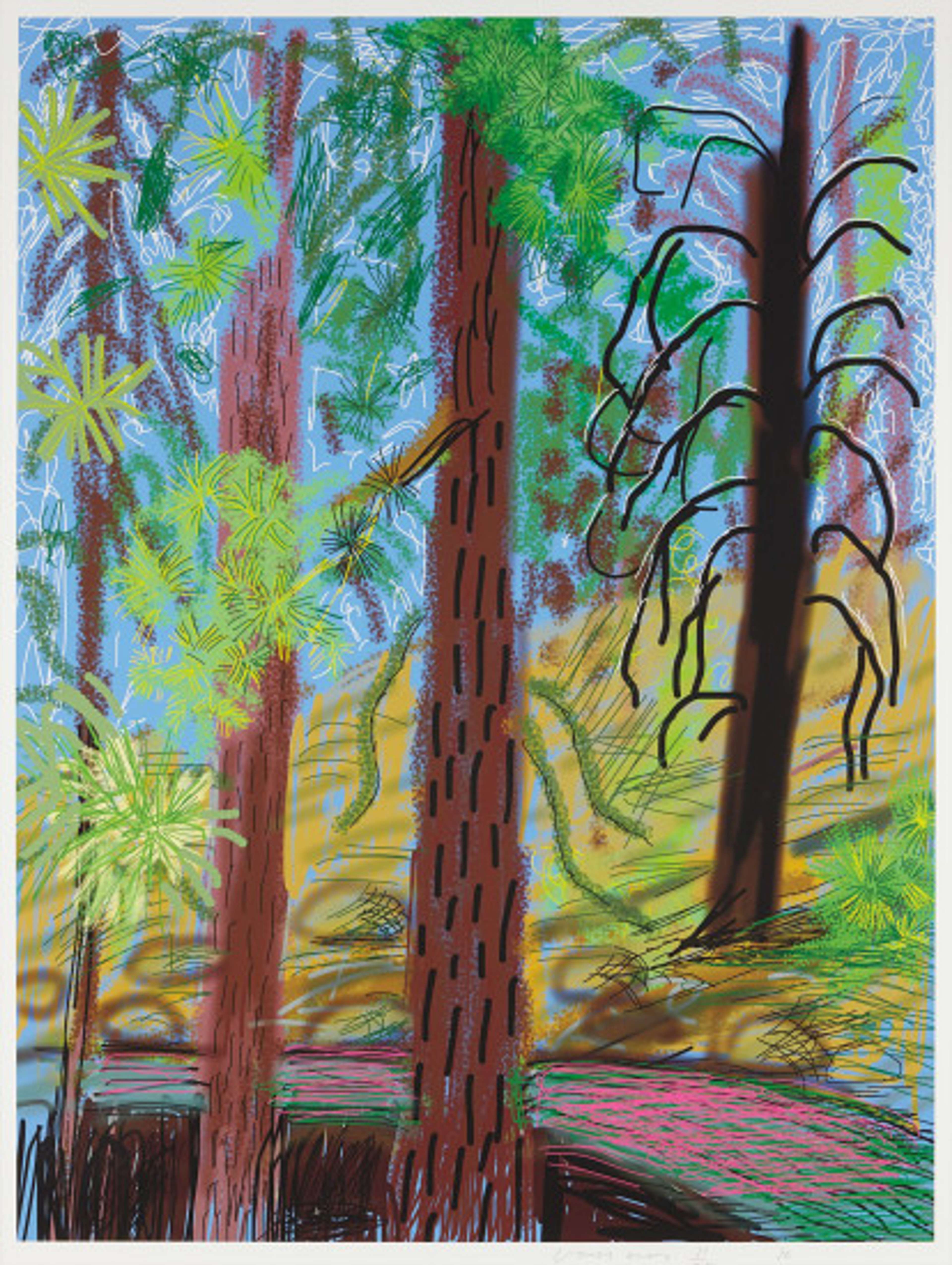 The Yosemite Suite 6 - Signed Print by David Hockney 2010 - MyArtBroker