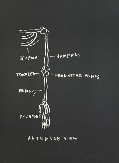 Anatomy, Anterior View - Signed Print by Jean-Michel Basquiat 1982 - MyArtBroker