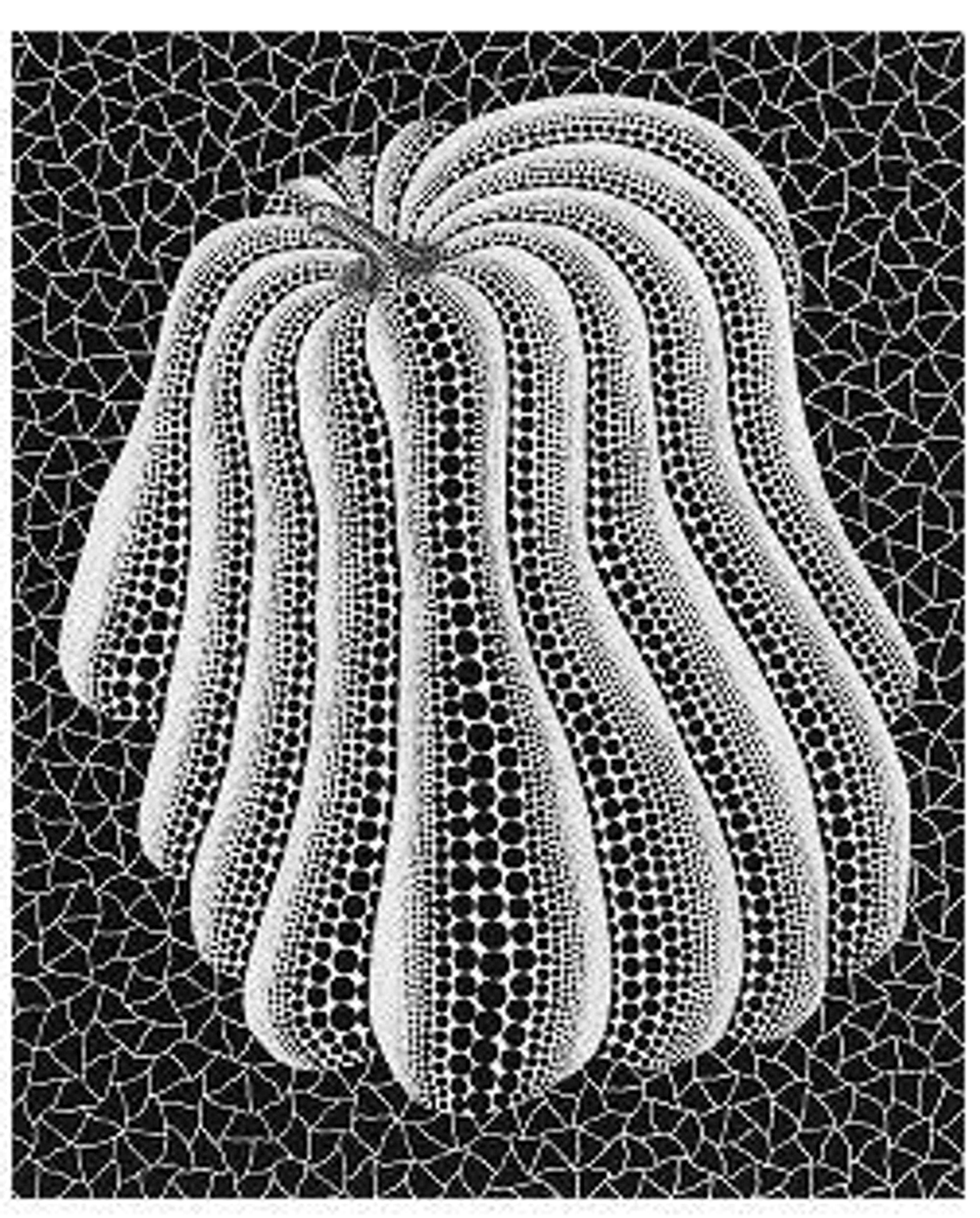 Thinking Pumpkin - Signed Print by Yayoi Kusama 1993 - MyArtBroker