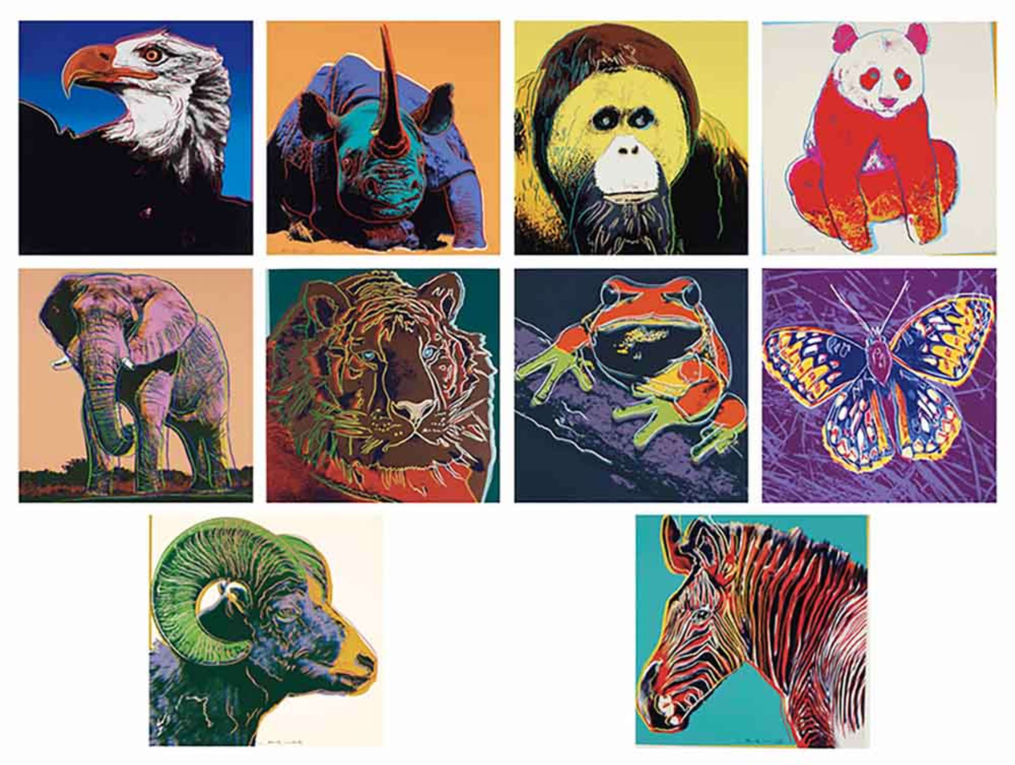 Endangered Species by Andy Warhol