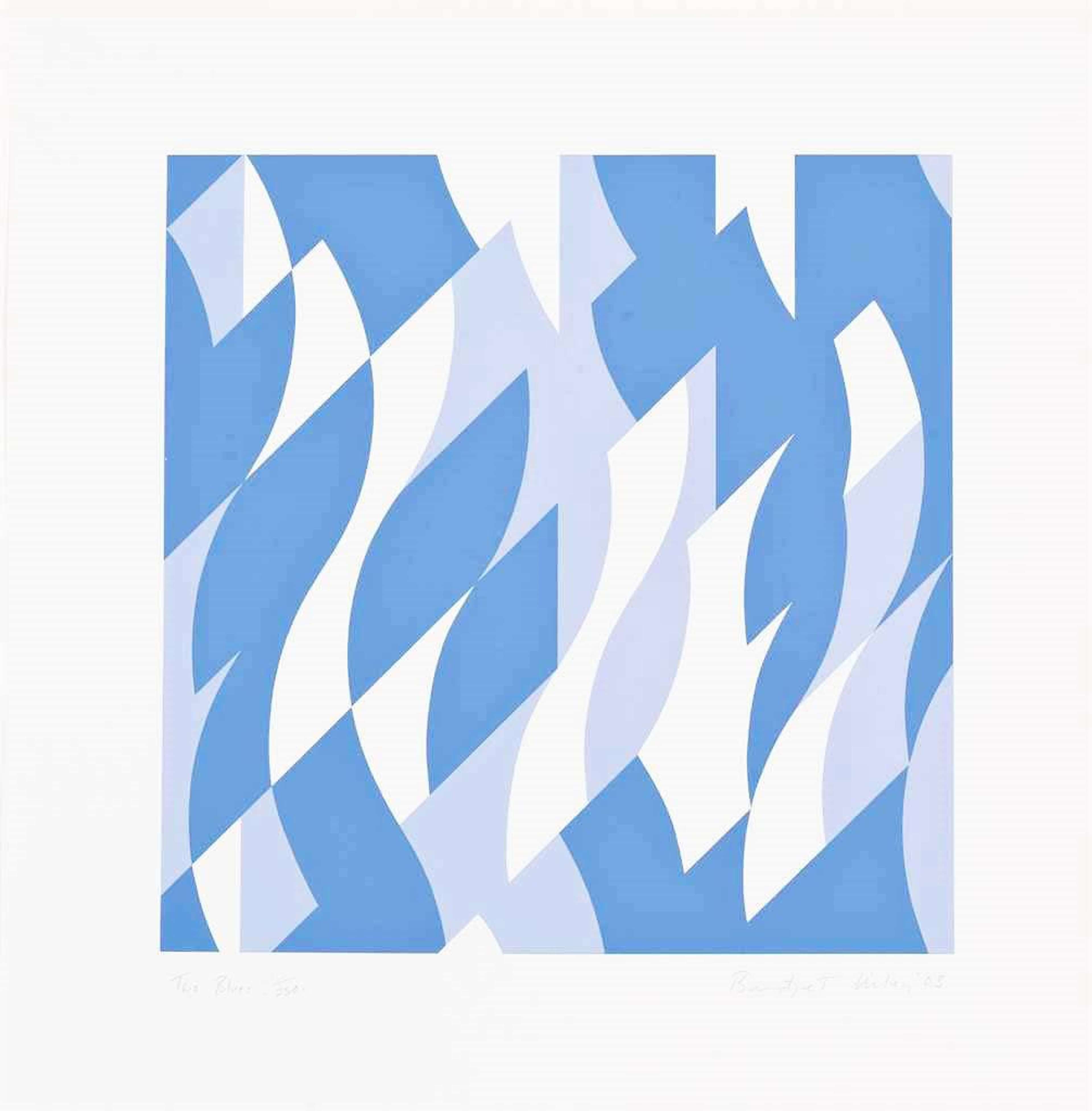 Two Blues - Signed Print by Bridget Riley 2003 - MyArtBroker