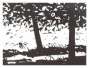 Alex Katz: Maine Woods - Signed Print