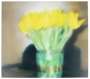 Gerhard Richter: Tulpen (P17) - Unsigned Print