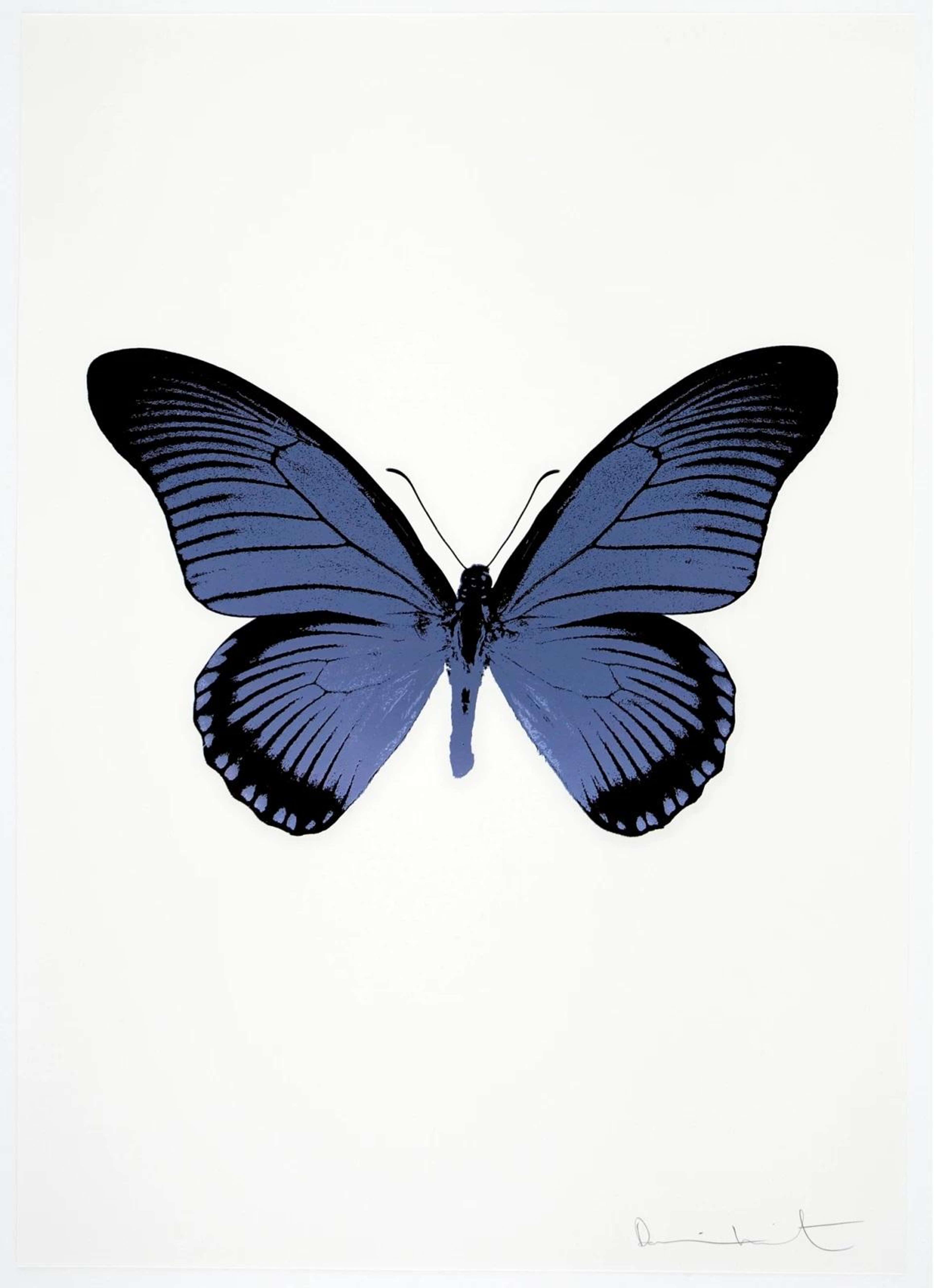 The Souls IV (cornflower blue, raven black) - Signed Print by Damien Hirst 2010 - MyArtBroker