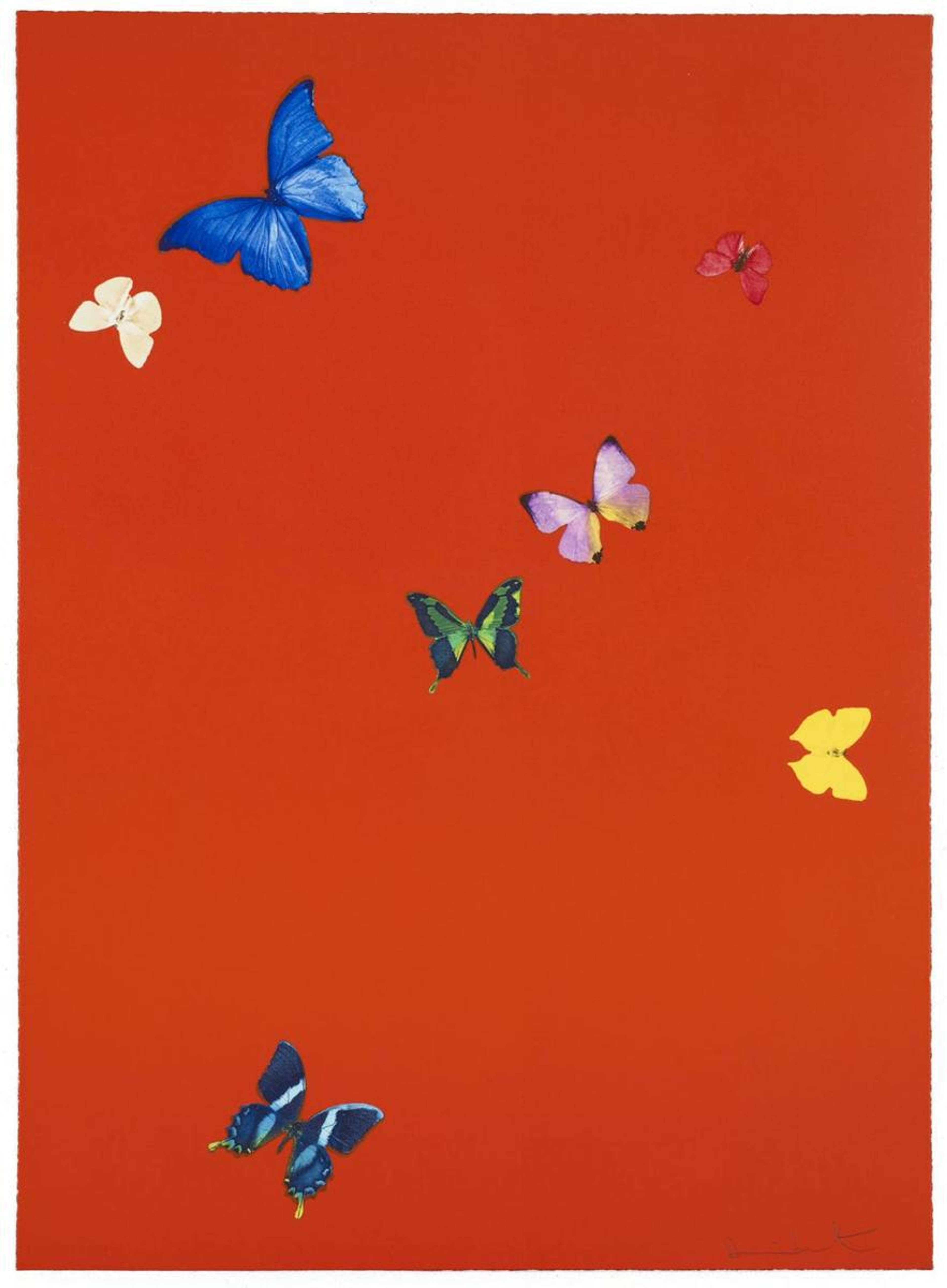 Your Feel - Signed Print by Damien Hirst 2015 - MyArtBroker