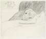 David Hockney: Dog Etching No. 11 - Signed Print