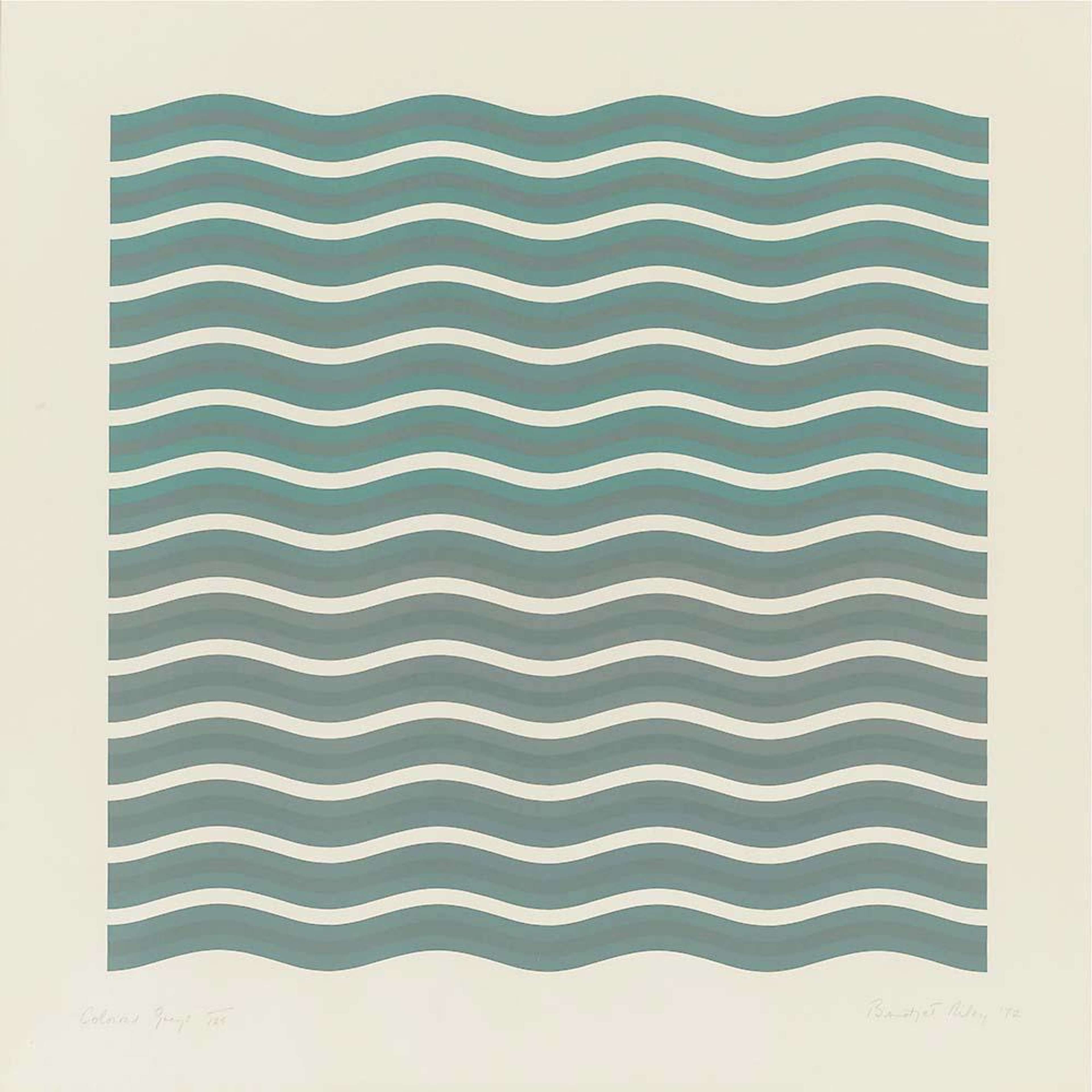 Coloured Greys 2 by Bridget Riley