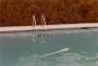 David Hockney: Untitled (Swimming Pool) - Signed Print