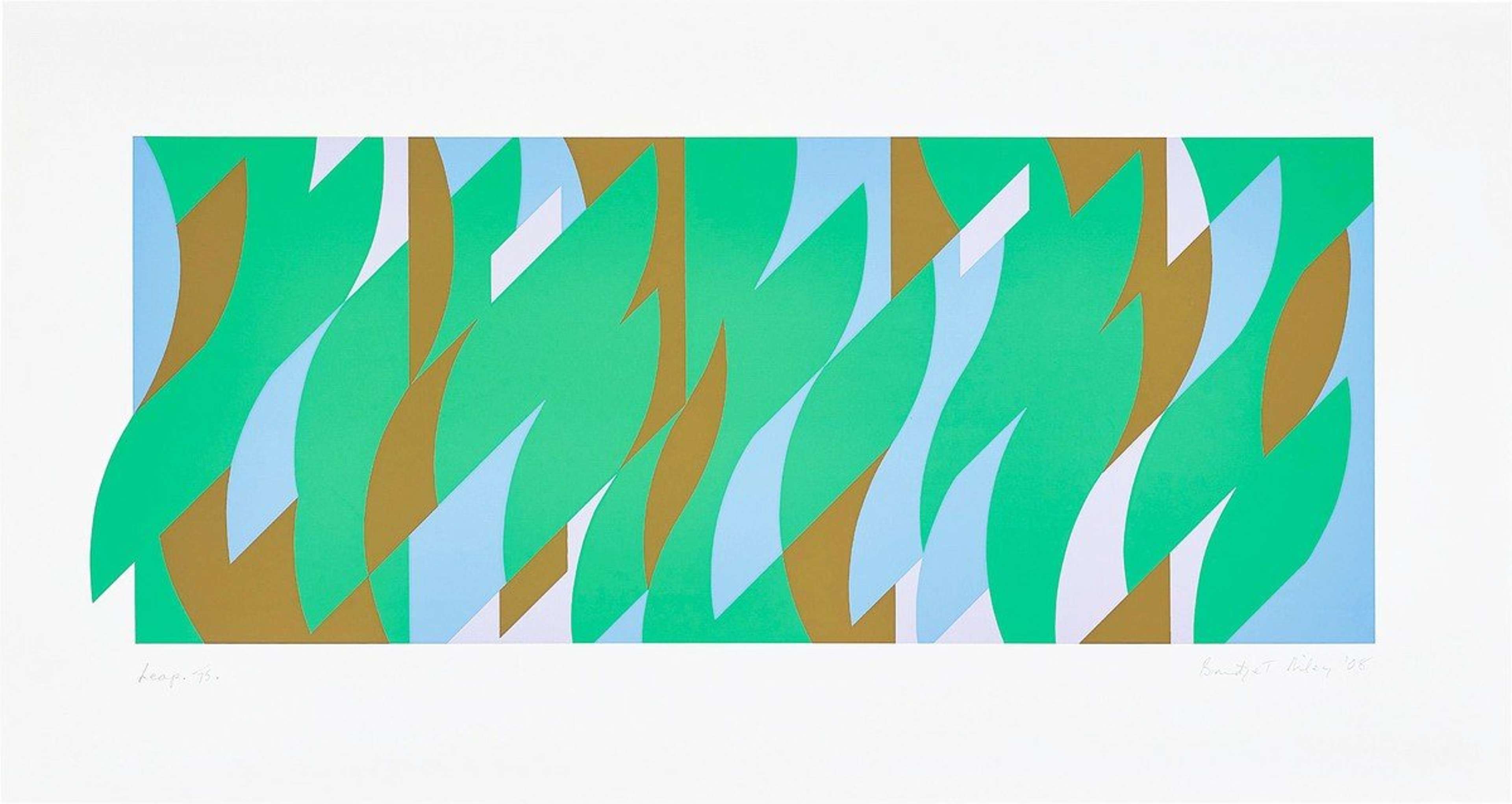 Leap by Bridget Riley