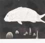 David Hockney: The Boy Hidden In A Fish - Signed Print