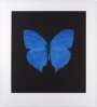 Damien Hirst: Memento 5 - Signed Print