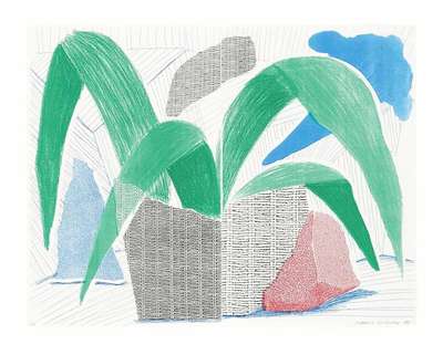 Green Grey Blue Plant July - Signed Print by David Hockney 1986 - MyArtBroker