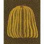 Yayoi Kusama: Pumpkin (yellow T) , Kusama 147 - Signed Print