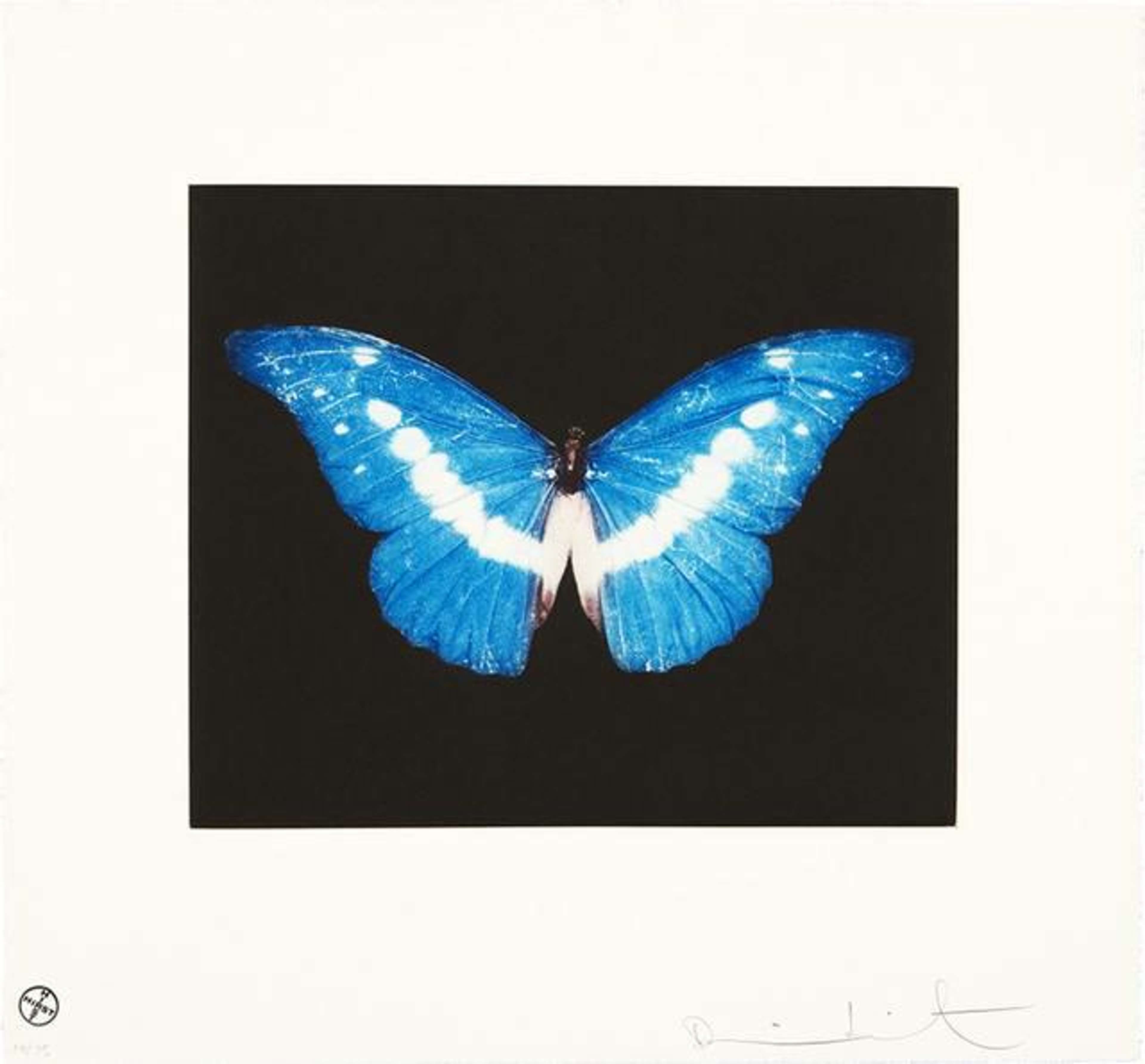 To Begin - Signed Print by Damien Hirst 2008 - MyArtBroker