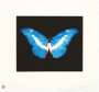 Damien Hirst: To Begin - Signed Print