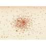 Ed Ruscha: Swarm Of Red Ants - Signed Print