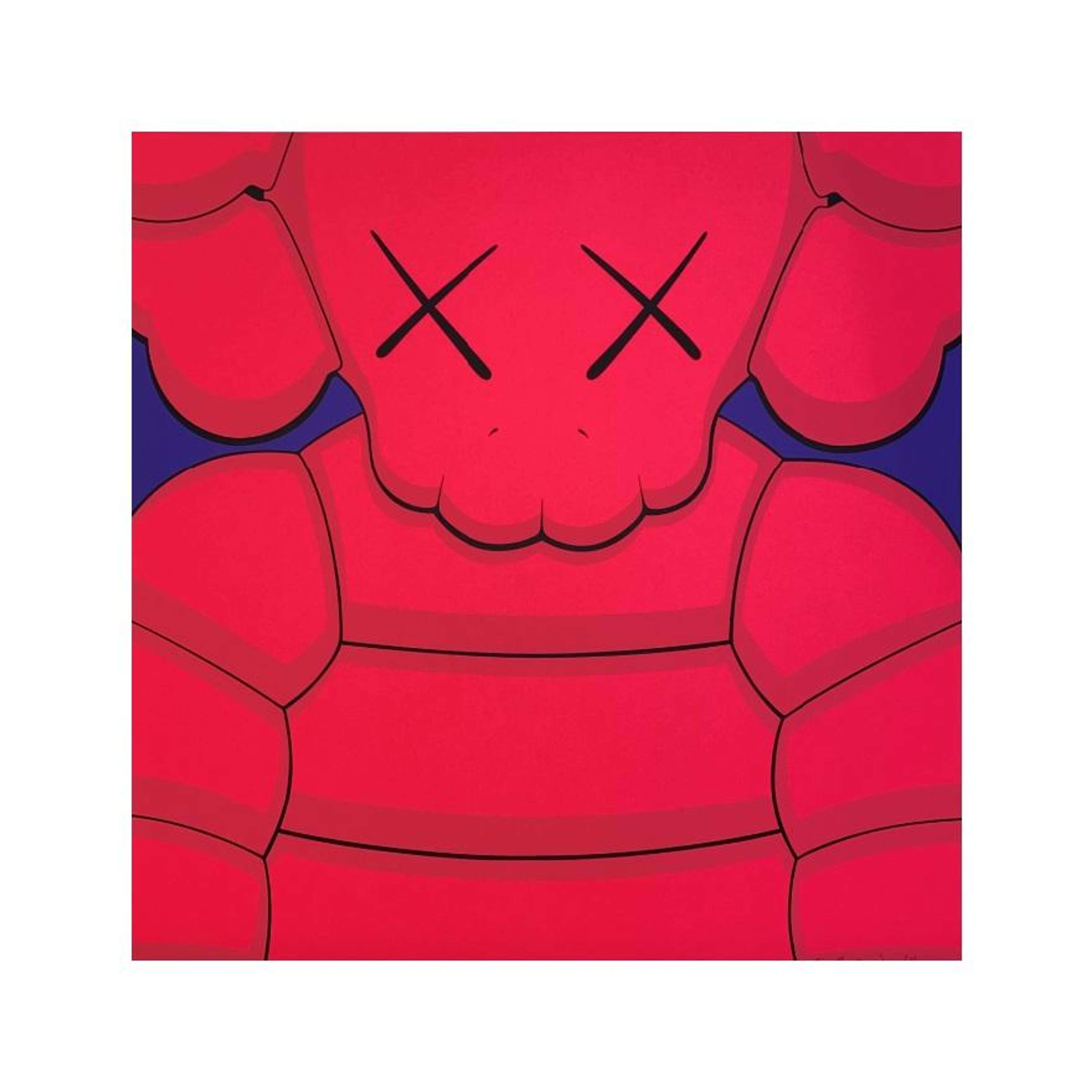 What Party (red on blue) - Signed Print by KAWS 2020 - MyArtBroker