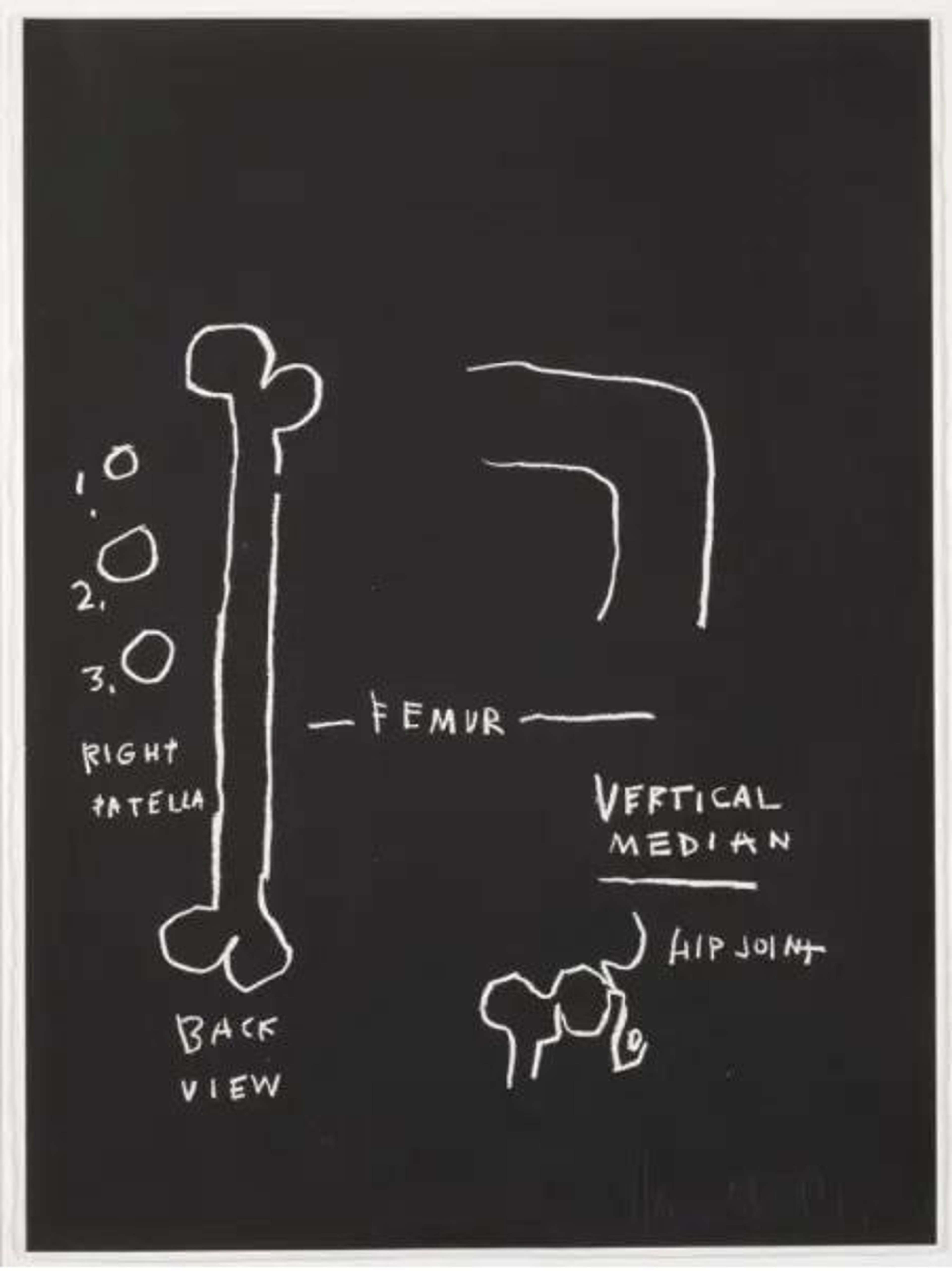 Anatomy, Vertical Median - Signed Print by Jean-Michel Basquiat 1982 - MyArtBroker