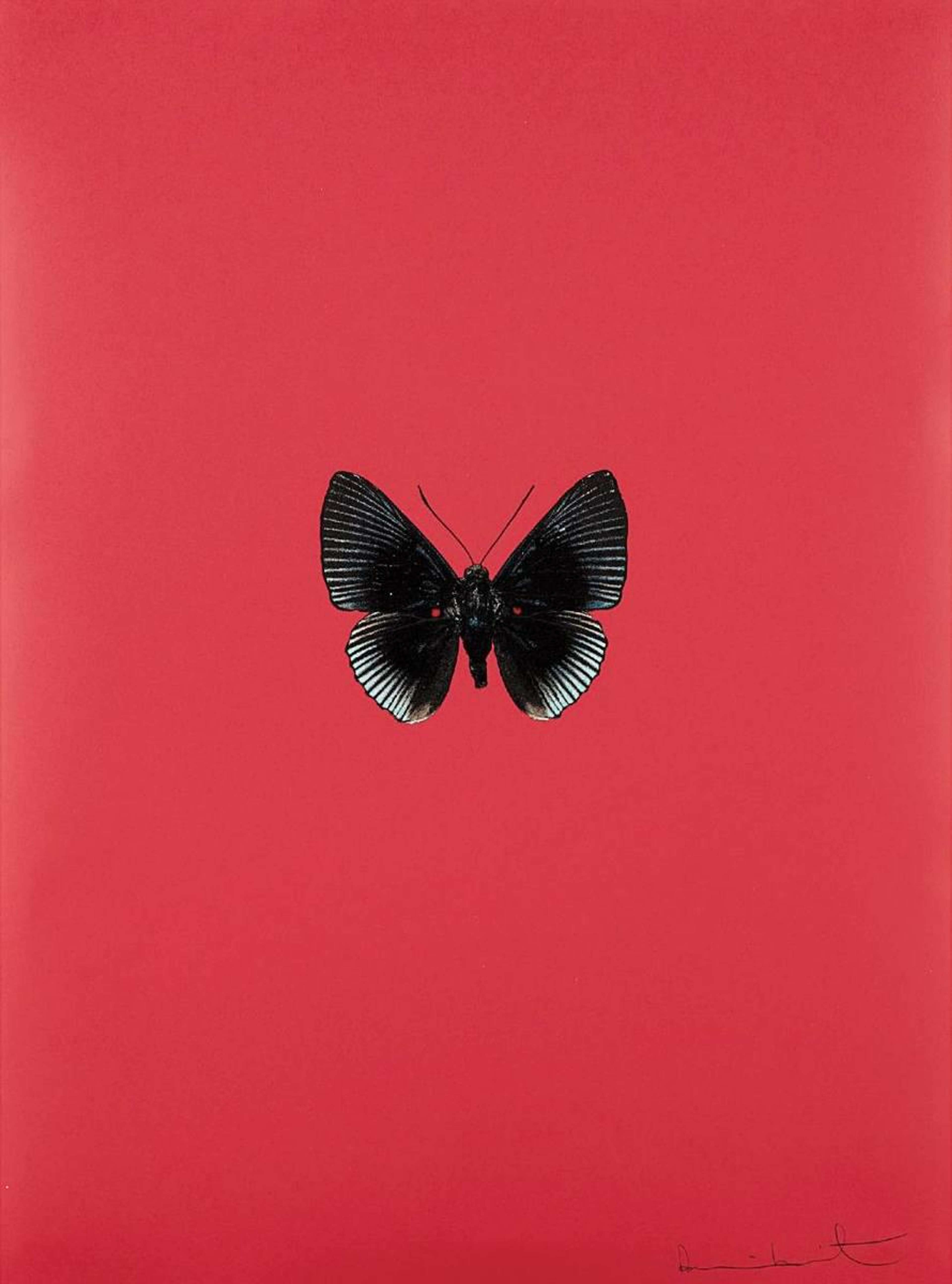 It's A Beautiful Day 5 - Signed Print by Damien Hirst 2013 - MyArtBroker