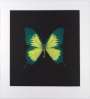 Damien Hirst: Memento 2 - Signed Print