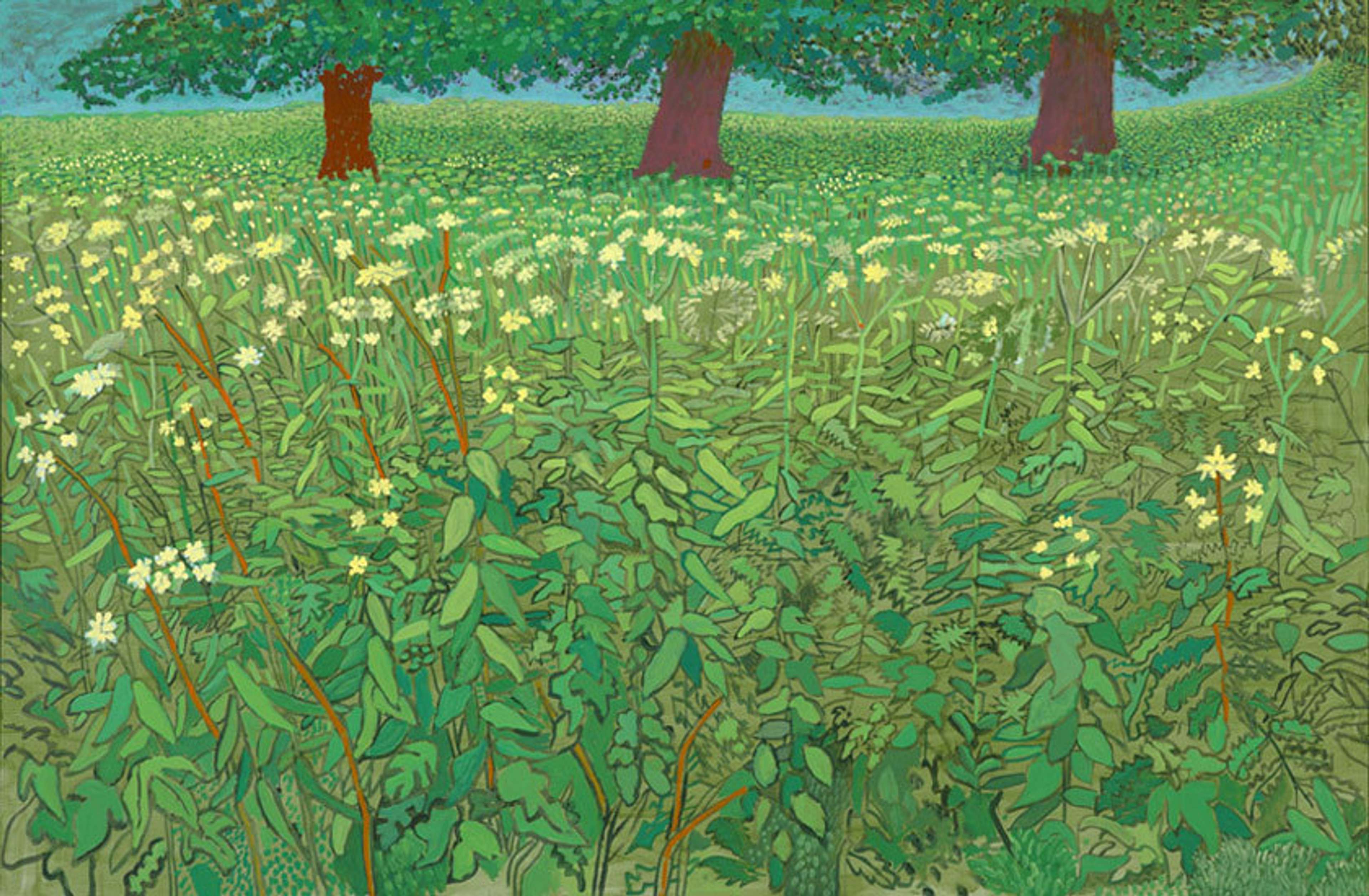 Queen Anne's Lace Near Kilham by David Hockney - MyArtBroker