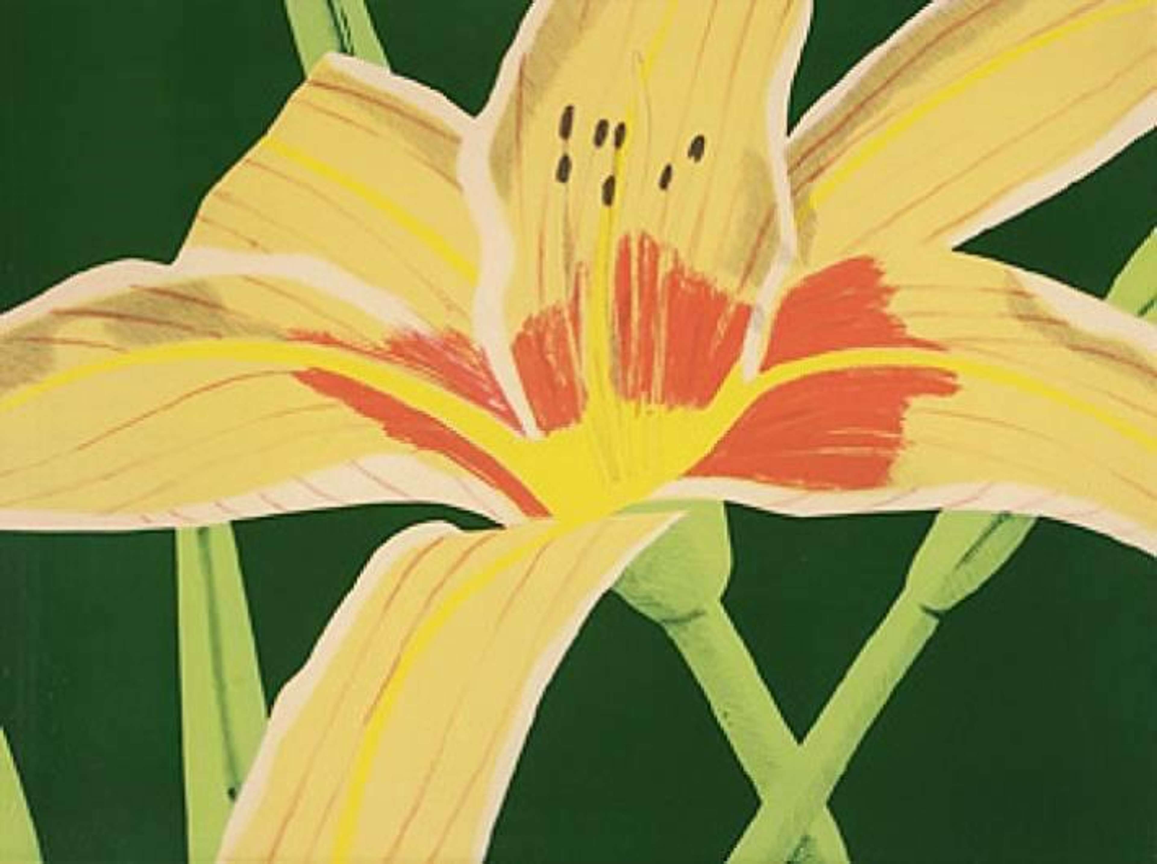 Day Lily 1 - Signed Print by Alex Katz 1969 - MyArtBroker