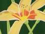 Alex Katz: Day Lily 1 - Signed Print