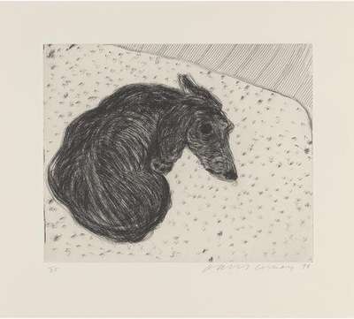 Dog Etching No. 15 - Signed Print by David Hockney 1998 - MyArtBroker