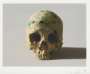 Damien Hirst: Studio Skull - Signed Print