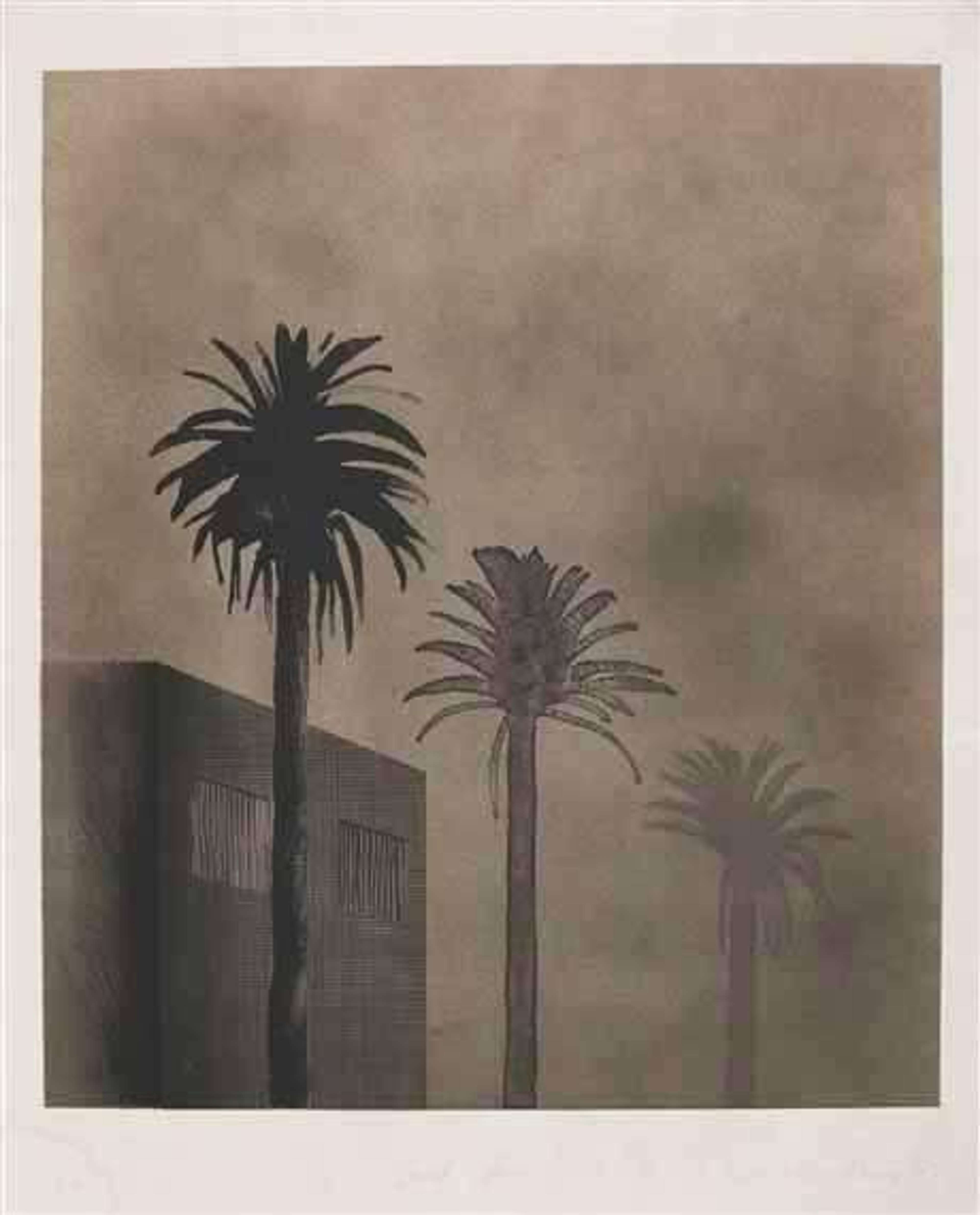 Dark Mist - Signed Print by David Hockney 1973 - MyArtBroker