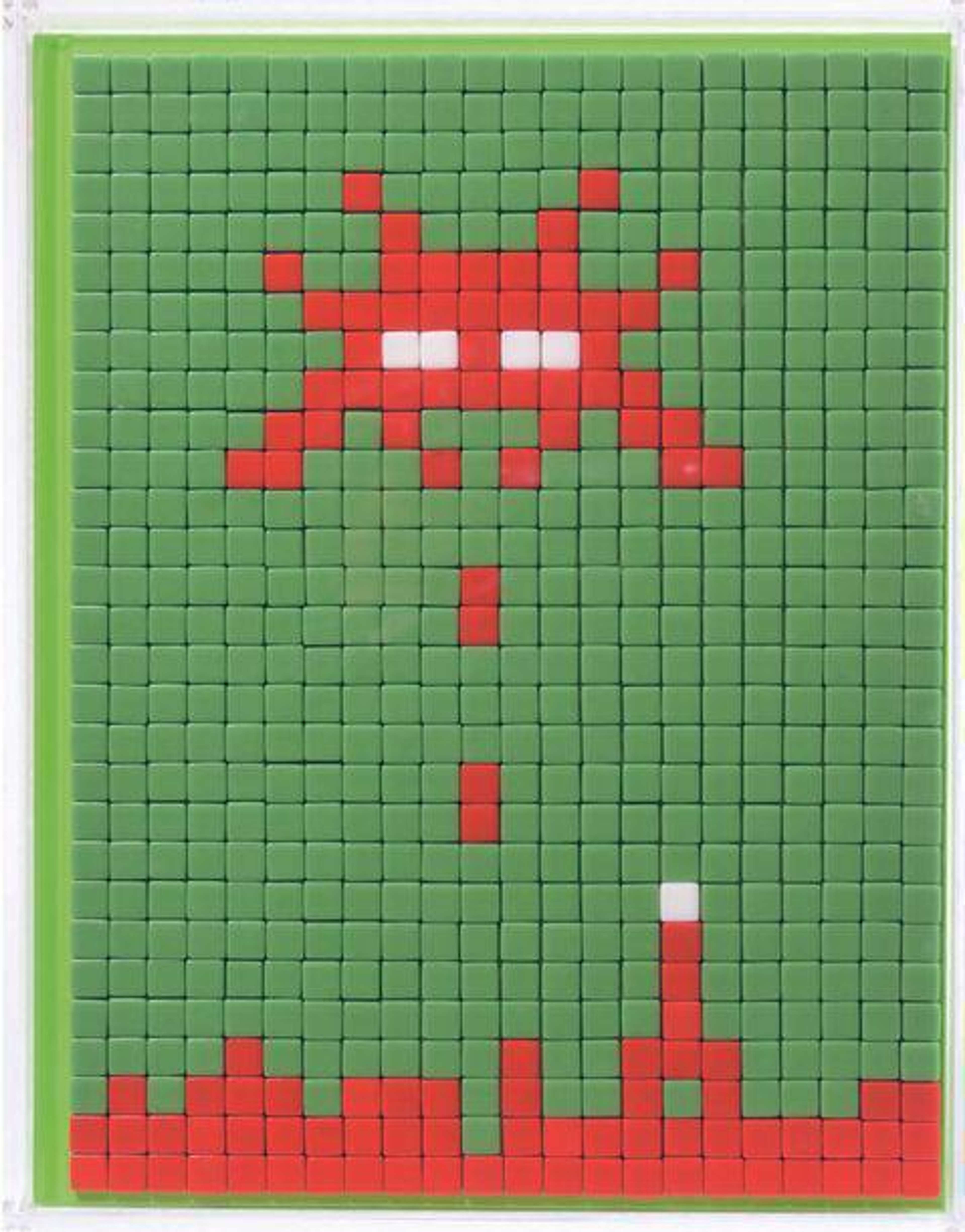 Invasion Book 2.0, Paris by Invader