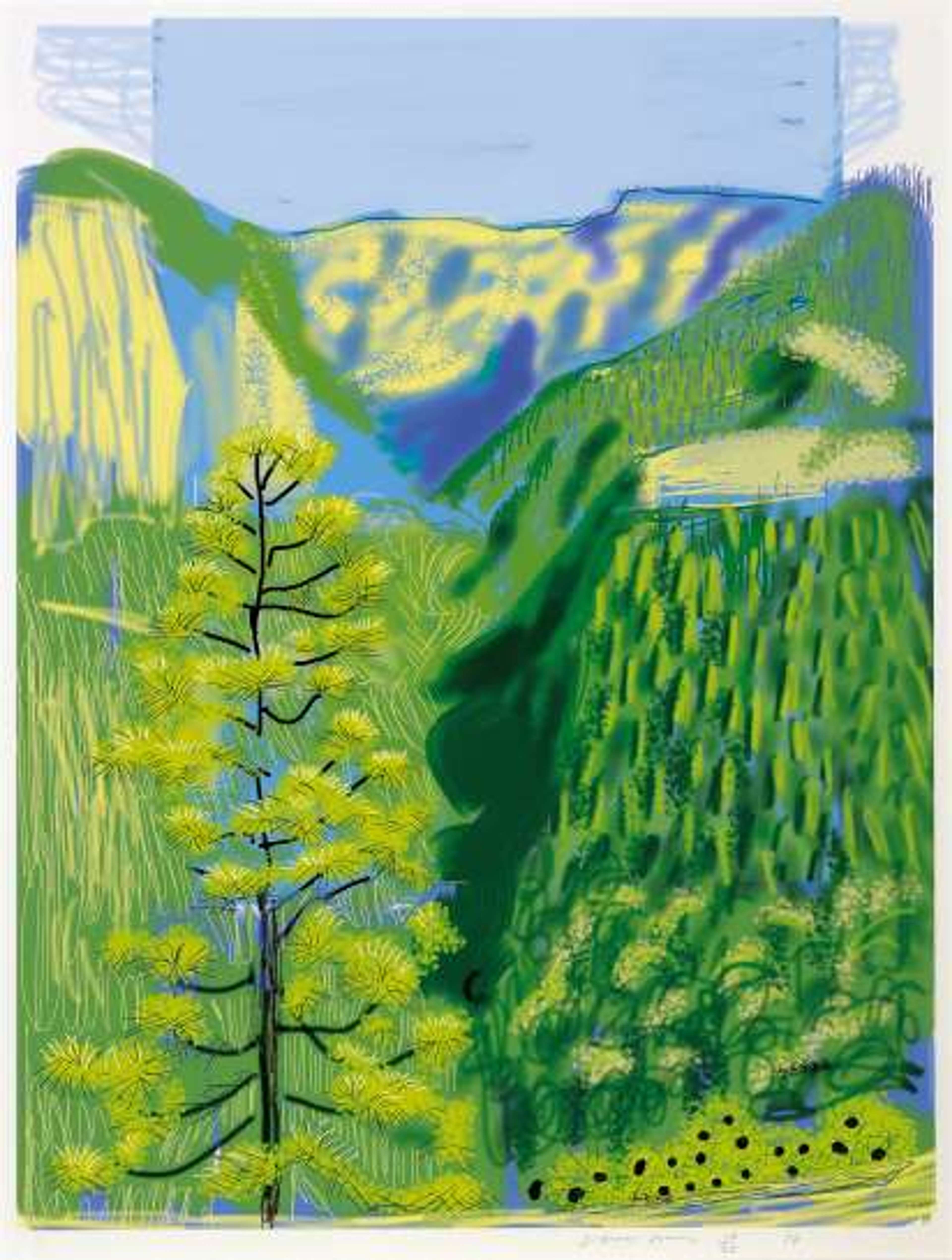 The Yosemite Suite 20 - Signed Print by David Hockney 2010 - MyArtBroker