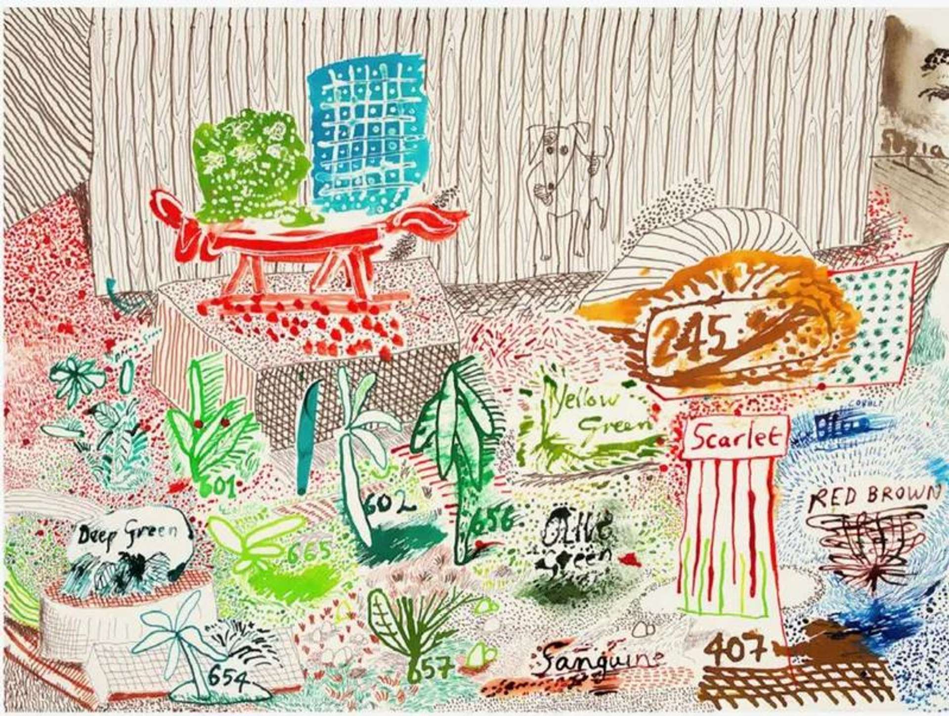 A digital print by David Hockney of an allotment garden with various plants named and numbered drawn in different colours.  